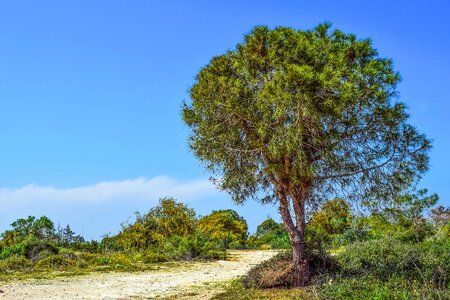 Landscape scenery makronissos