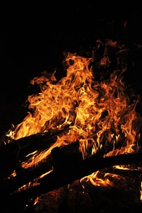 The bonfire night wood