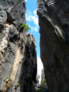 Stone forest in yunnan province the scenery photo