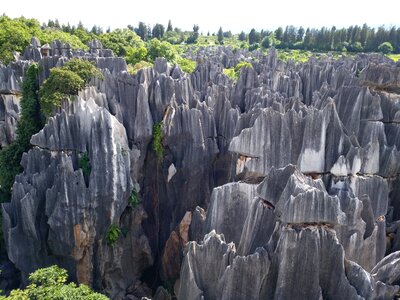 Stone forest in yunnan province the scenery photo