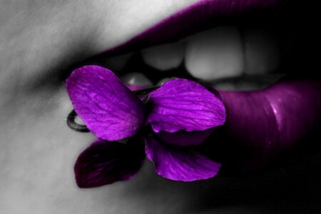 Lips violet flower