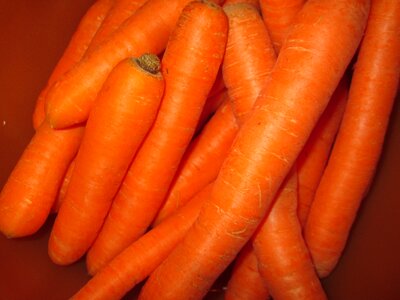 Red carrots vegetarian vitamins