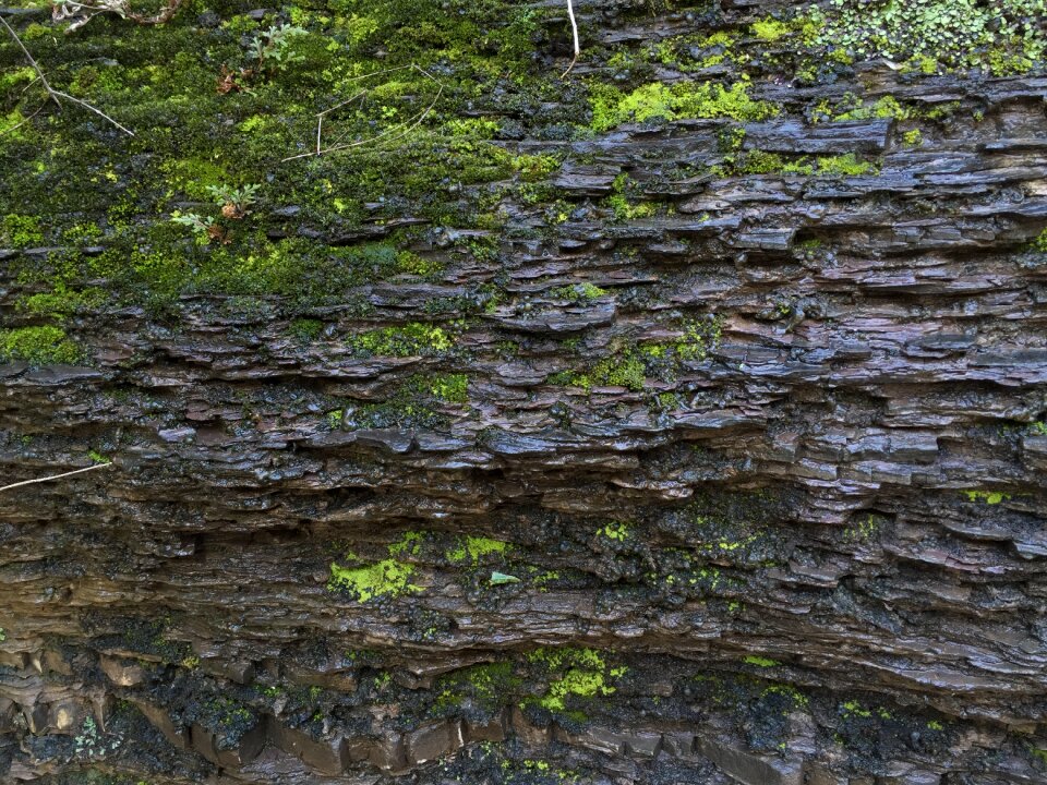 Wall brick wall ancient times