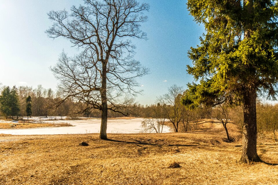 Nature landscape russia