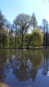 Park lake nature