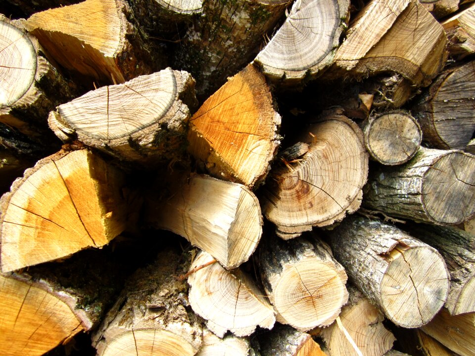 Tribe tree trunk background
