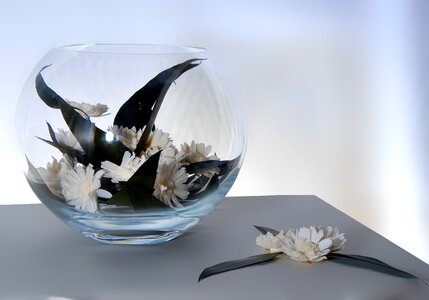 Ikebana daisy vase photo