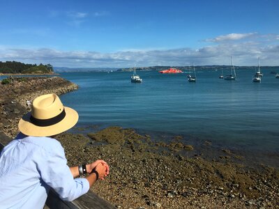 New zealand water view