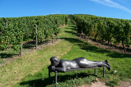 Winegrowing sculpture path weinstadt-strümpfelbach