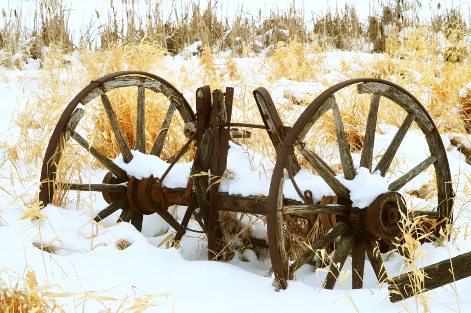 Wooden wood vintage