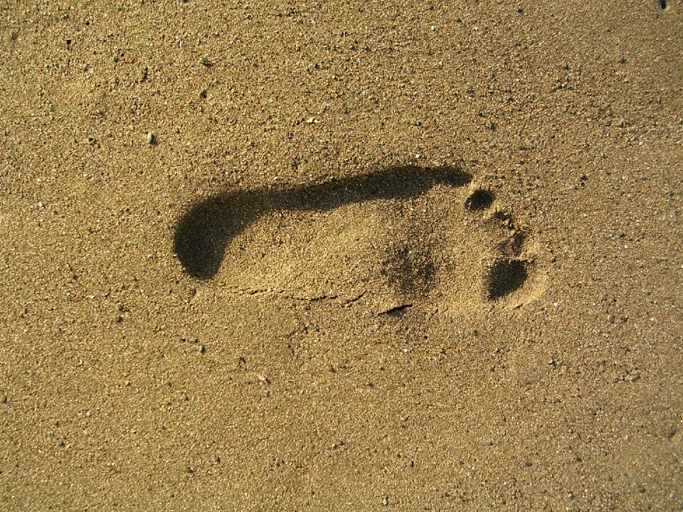Sea beach