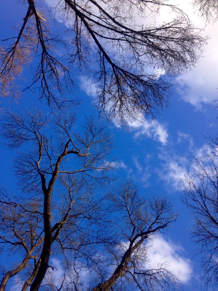 Clouds blue sky wallpaper
