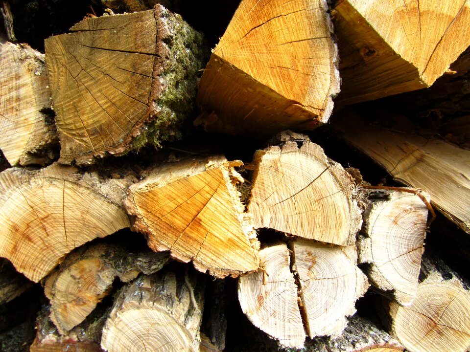 Forest tribes background