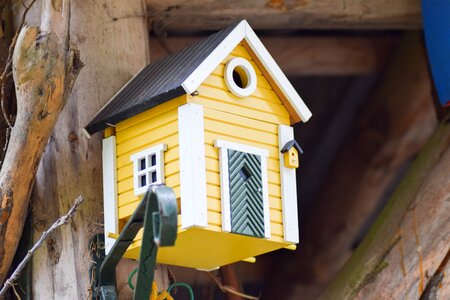 Bird feeder nesting box yellow