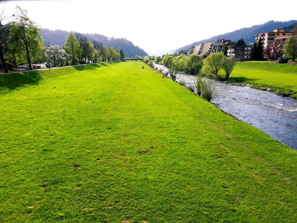 Trees valley haslach