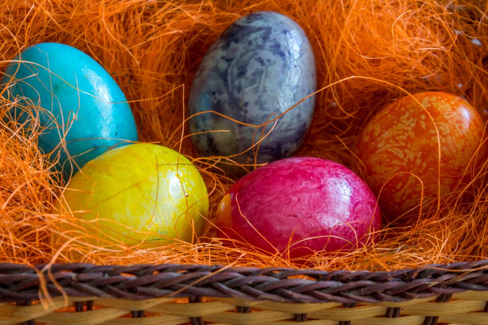 Spring egg celebration