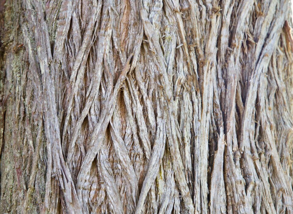 Pattern brown rough