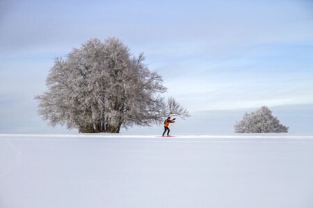 Cross country skiing wintry snowy photo