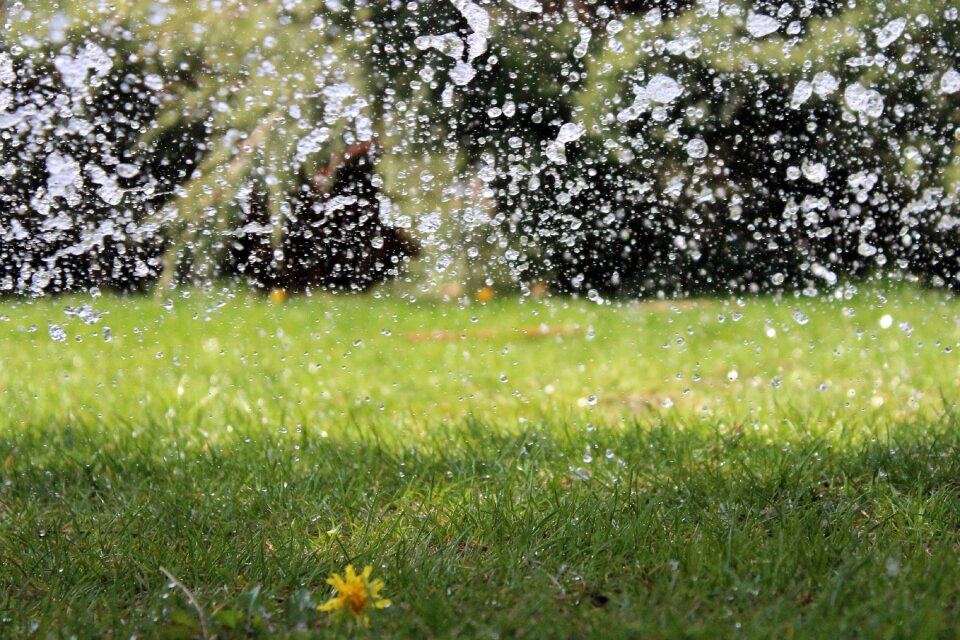 Wet water drop water drops