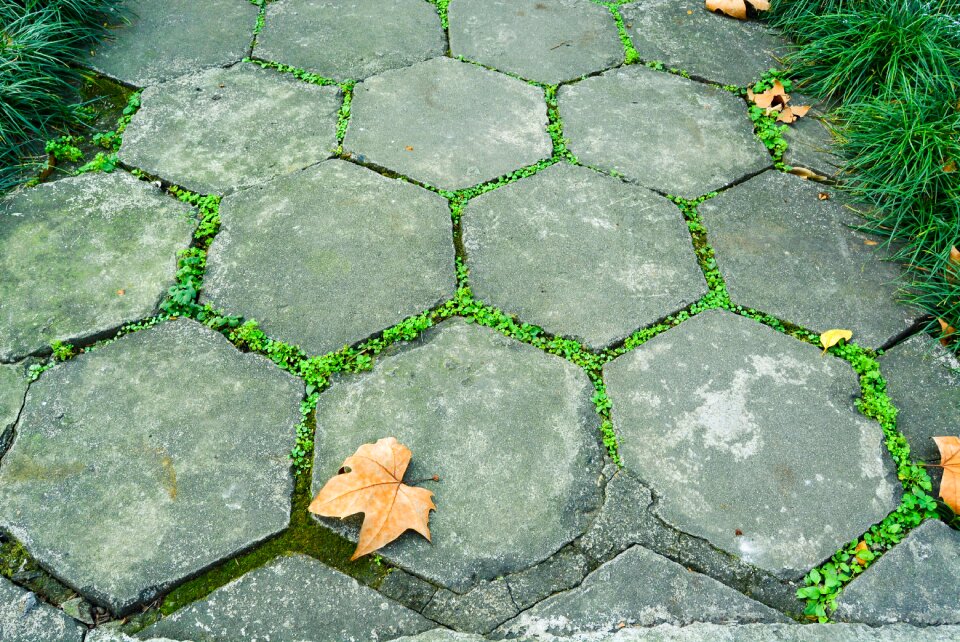 Bluestone plate road green grass