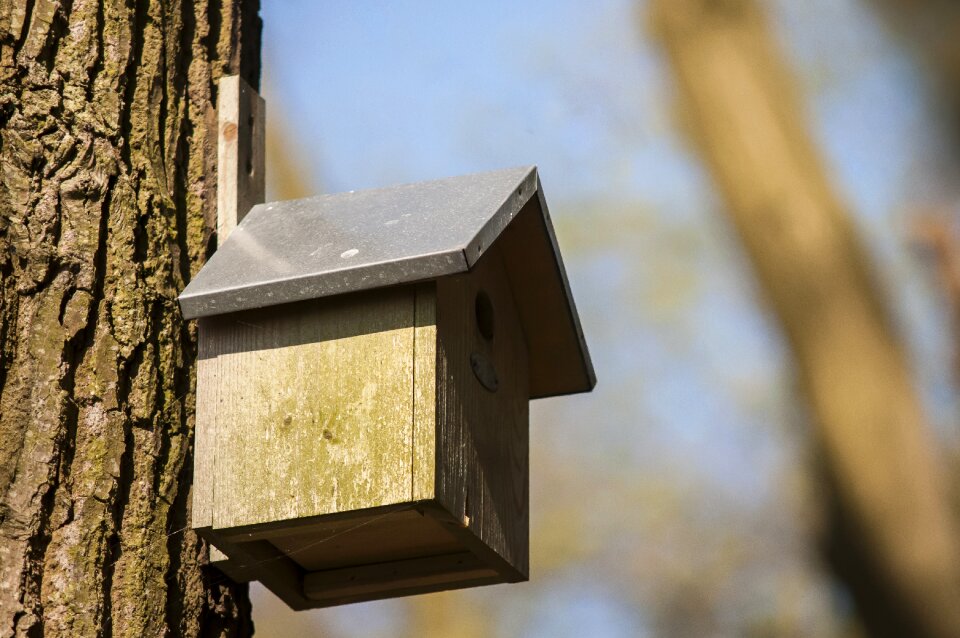 House nature spring