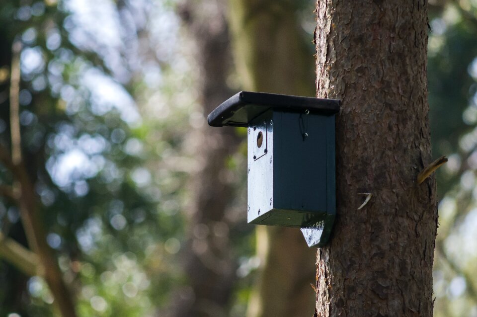House nature spring