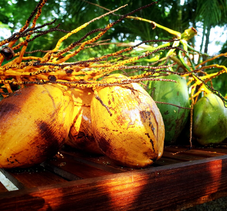 Healthy exotic fresh
