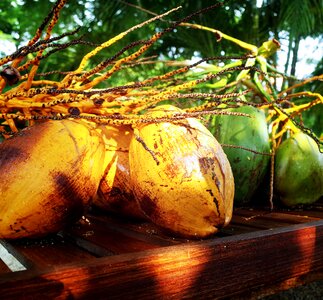 Healthy exotic fresh
