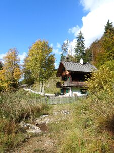 Wood log cabin old photo