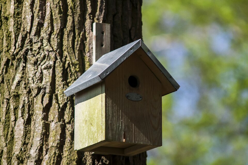 House nature spring