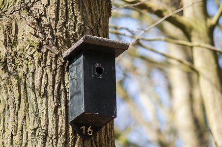 House nature spring
