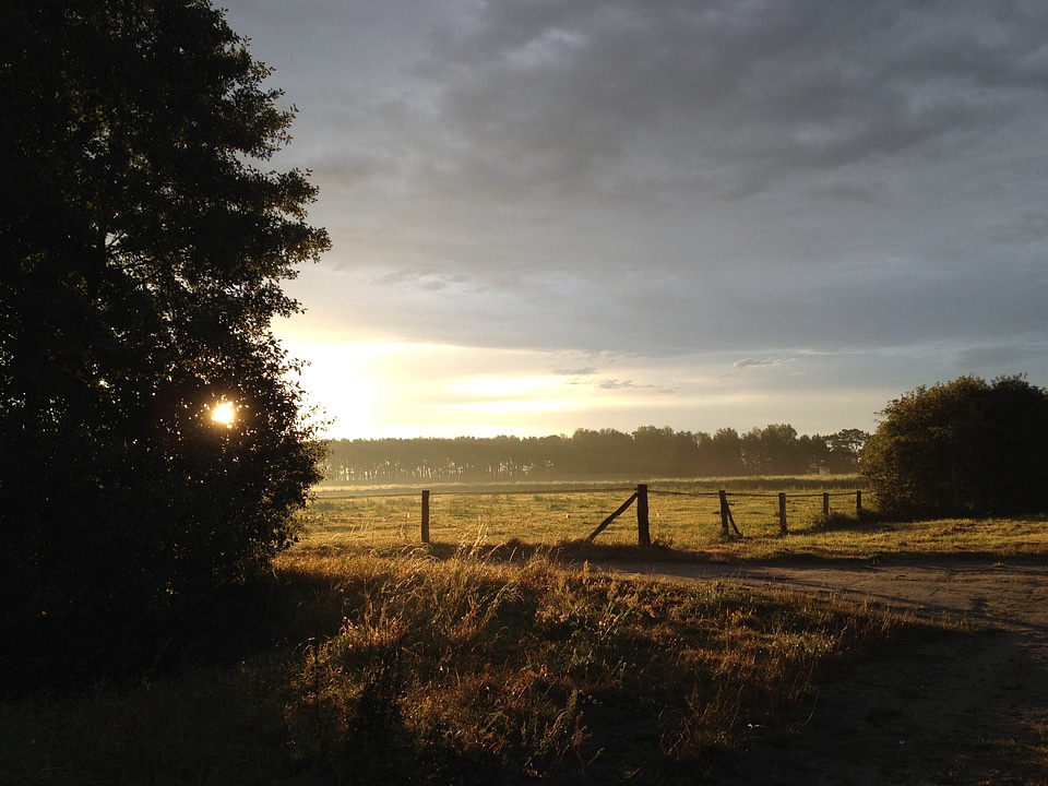 Sun reported sunrise