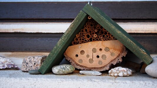 Ecology urban nature conservation