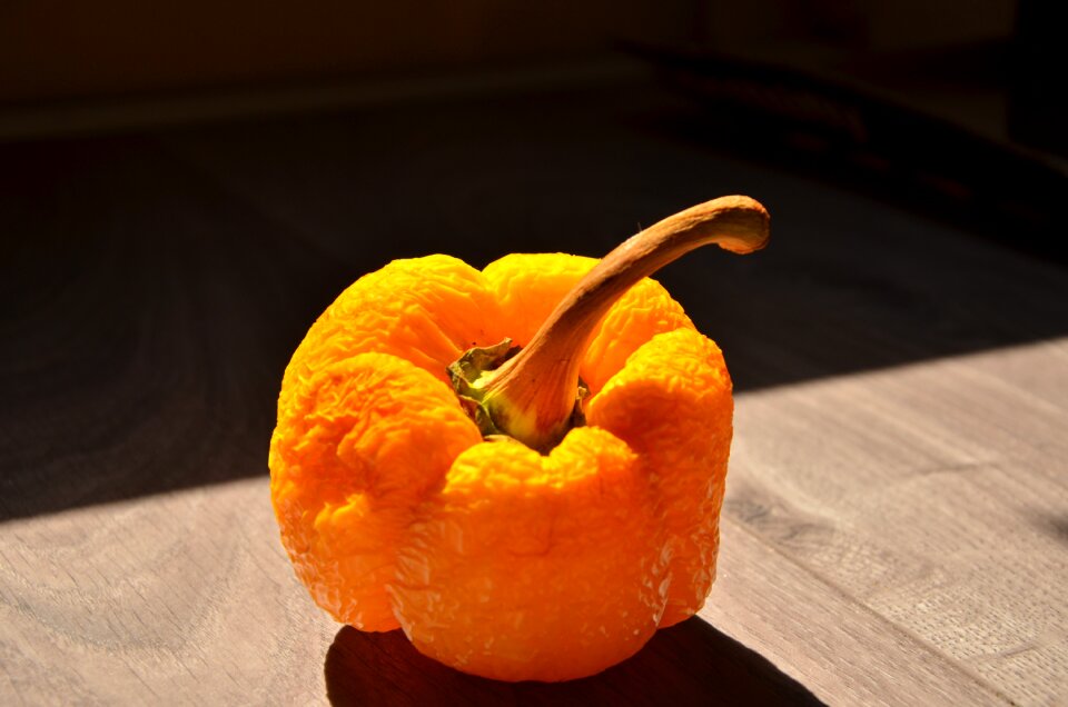 Paprika orange wrinkles