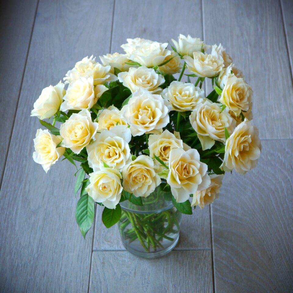 White yellow top view