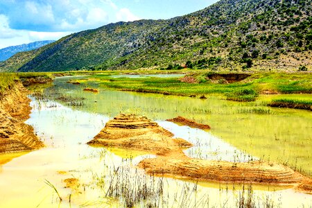 Forest turkey lake