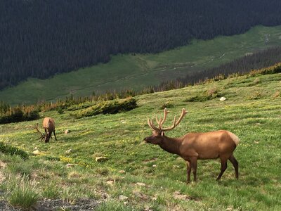 Colorado nature mountain