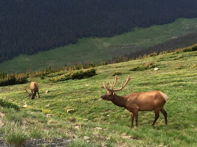 Colorado nature mountain photo