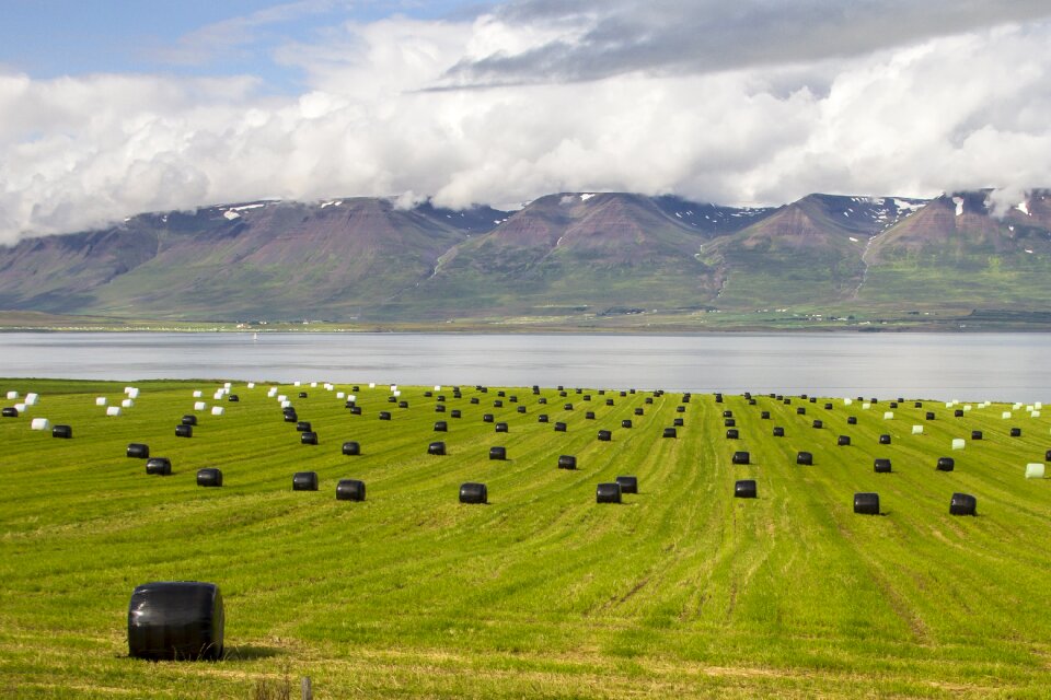 Iceland feed bales landscape