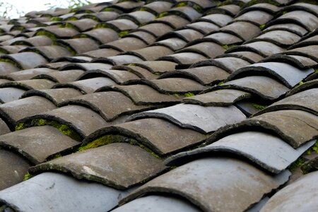 Tiles roof the scenery