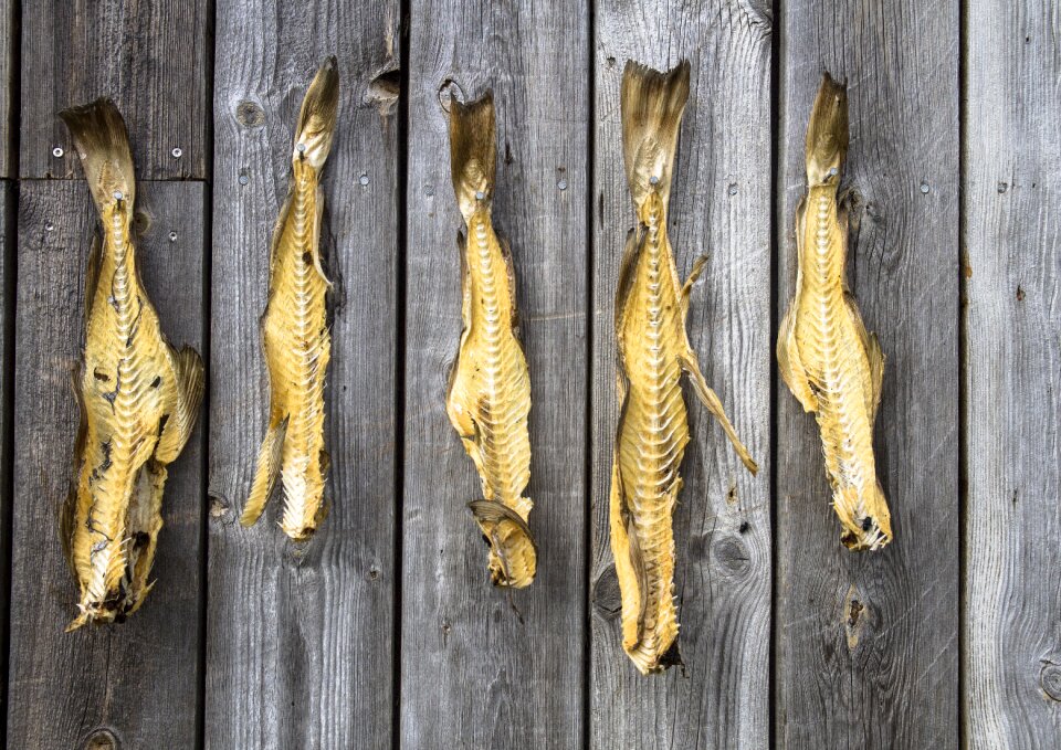 Dried fish fish dried