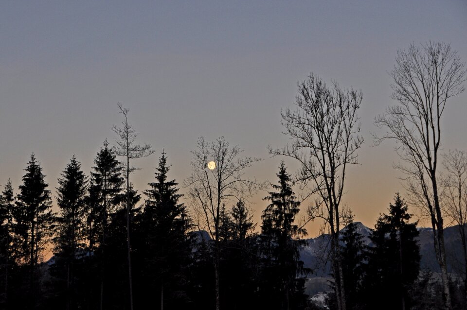 Evening sky dusk