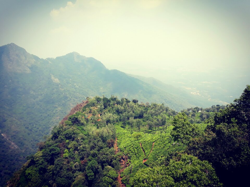 Sky forest hiking