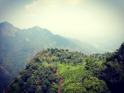 Sky forest hiking