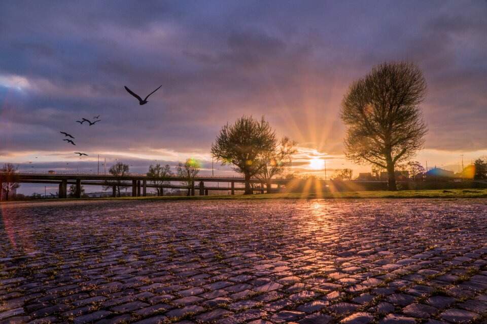 Spring backlighting hdr