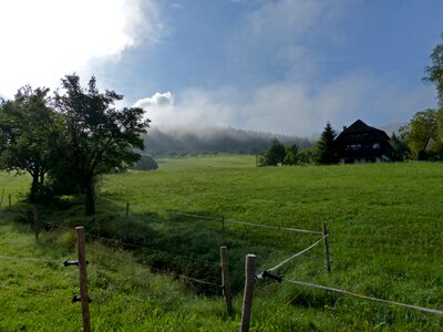Mood fog nature