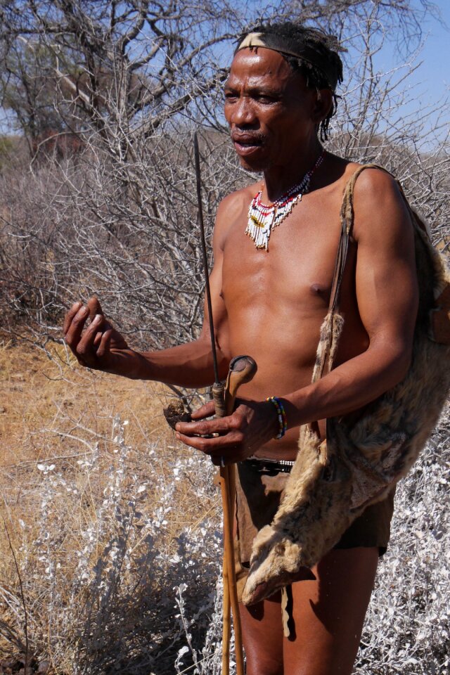 Bushman indigenous culture hunters and collectors