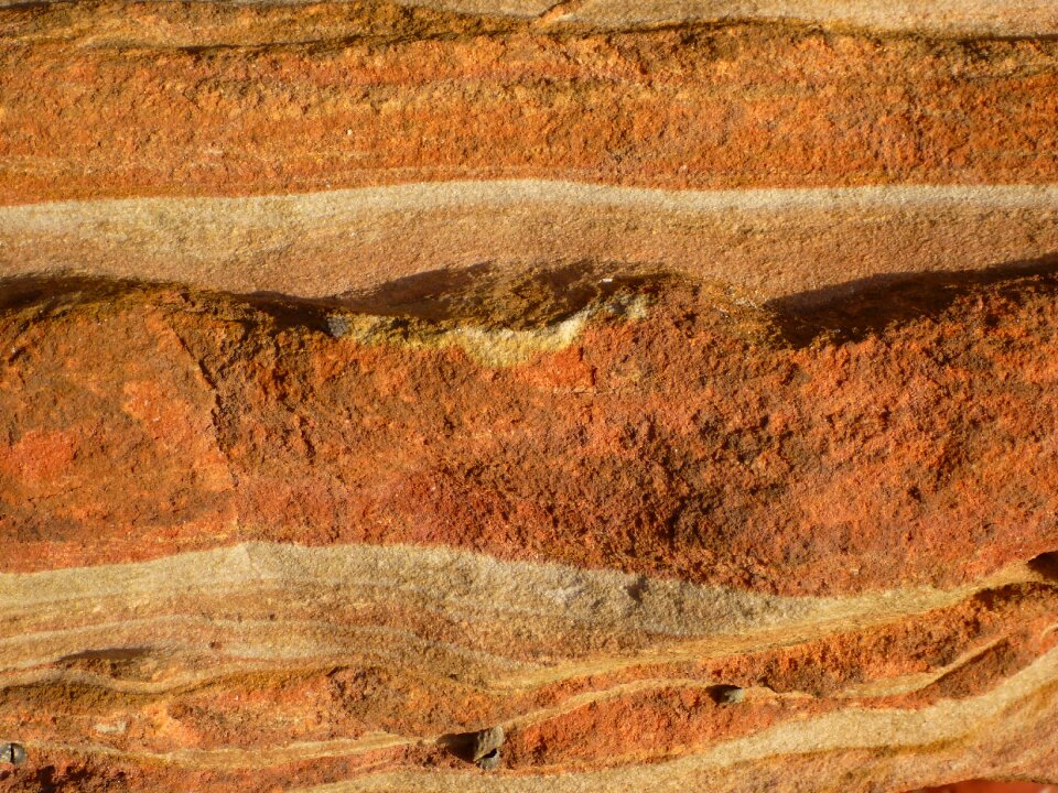 Texture natural nature