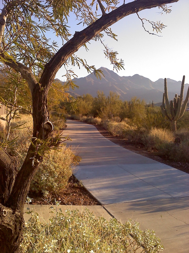 Walking mountains landscape