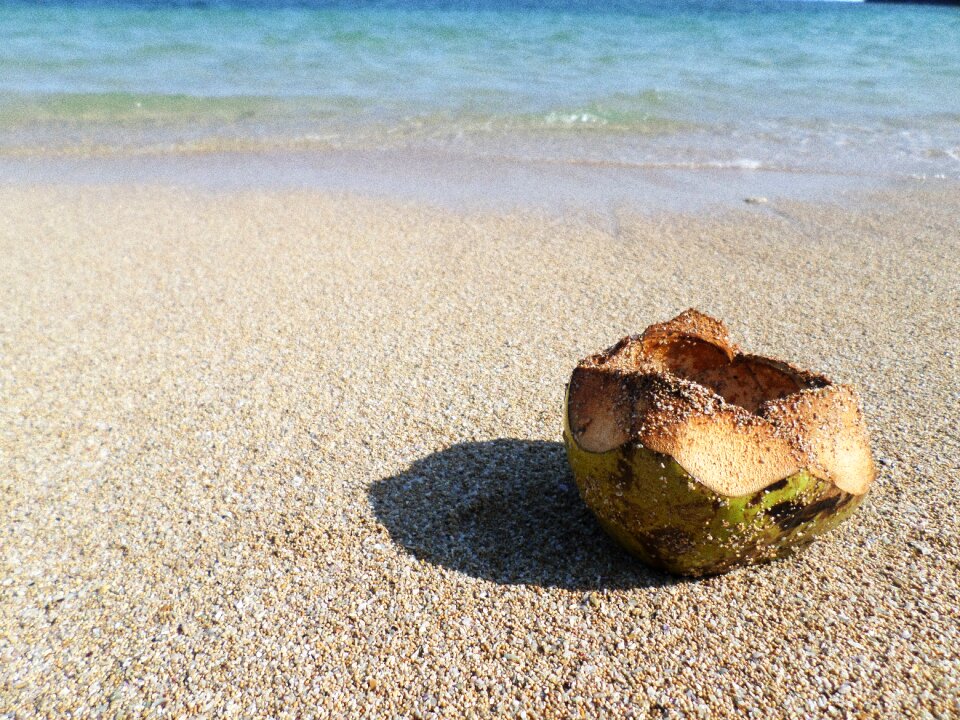Fruit open